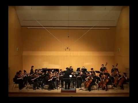 Pirates of the Caribbean-Dead Man's Chest OST - Fiddle String Orchestra