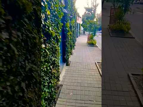 Caminando Quito: González Suárez - Pichincha, Ecuador