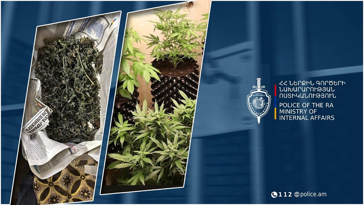 Հայտնաբերվել են ջերմոց, թմրանյութի արտադրամաս և մեծ քանակի թմրամիջոցներ․ քրեական ոստիկանների բացահայտումը