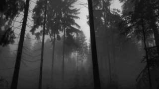 SONGS: OHIA - nobody tries that hard anymore