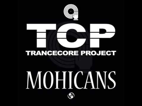 TransCore Project - Mohicans