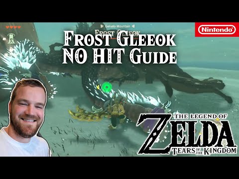 Frost Gleeok | Gerudo Mountain | NO HIT Strategy | Zelda Tears of the Kingdom