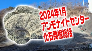 2024年1月化石発掘総括 2024 January Fossil Hunting Summary