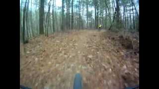 preview picture of video 'Dupont State Forest - Rifle Range Trail'