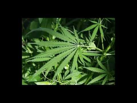 SZK - przekaz dla ulic.mp4