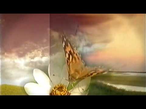 N3 Ident Nordabend ca. 1999