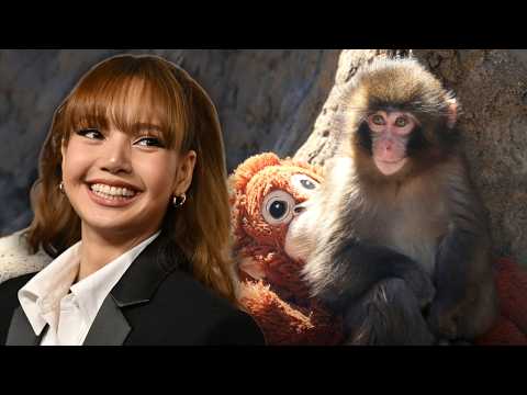 BLACKPINK's Lisa Charms Fans with Surprise Visit to Panchi-Kun