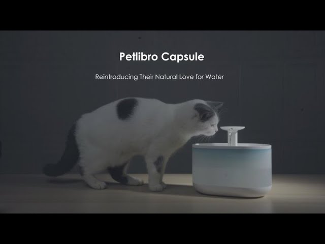 Video teaser for PETLIBRO Capsule Water Fountain | Healthy & Hygienic