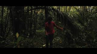 C'est Mort Music Video