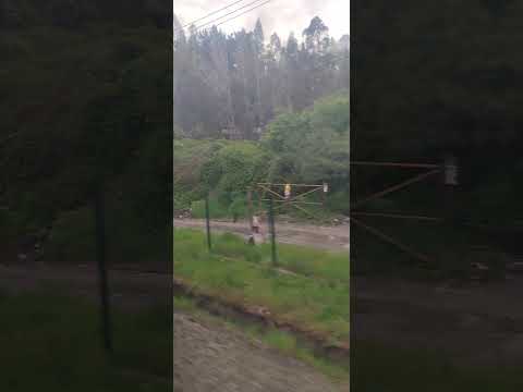 BioTren, desde Hualqui hacia La Leonera - 1 de octubre del 2026, 17:18