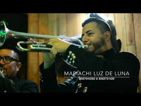 Así como Hoy (Mariachi Luz De Luna cd Juárez)