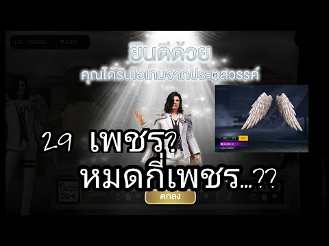 ฟีฟาย