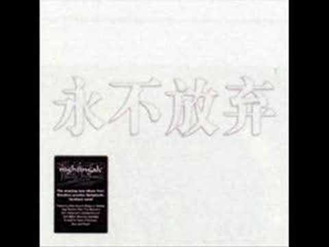 To My Inspiration - Nightingale