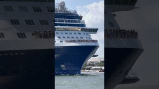 Celebrity Reflection 🛳️ #like #share #comment #subscribe #youtubeshorts #cruise #travel #shorts #yt