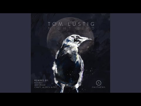 Night Bird (Anturage Remix)