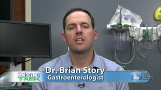 Science Trek: The Digestive System