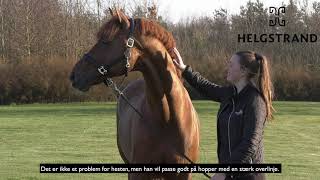 Video of Springbank II Vh