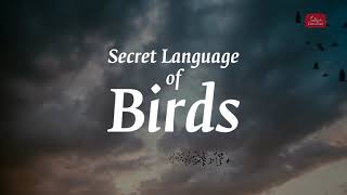 The Secret Language of Birds – Sadhguru Exclusive Preview
