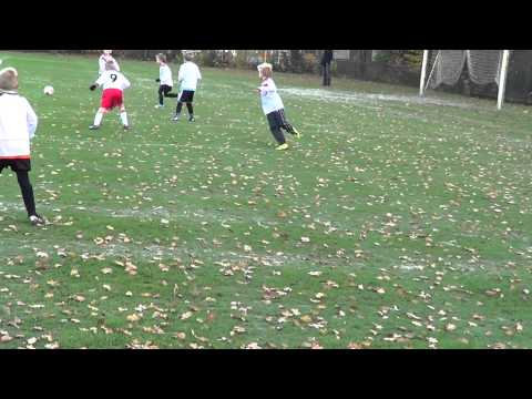 KVVA F3   VALLEIVOGELS F5