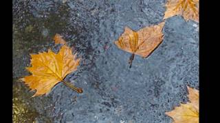 Singing in the rain by John Martyn