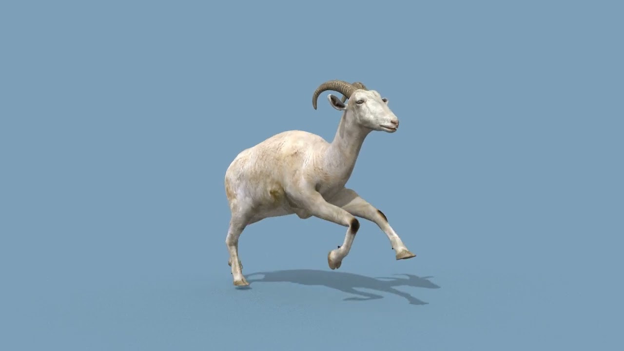 Top Goat 8K - 3d animated 3D Model