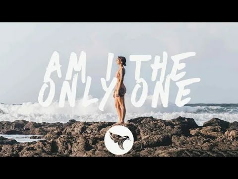 R3HAB & Astrid S & HRVY - Am I The Only One (Lyrics)