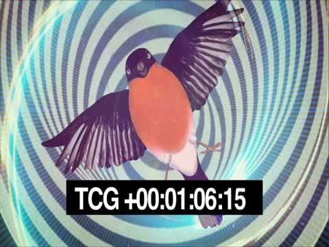 Hermanos Inglesos Feat. Meme "Wanderland"