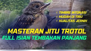 Download lagu Masteran Murai Batu Trotol Full Tembakan Panjang, Jernih dengan Jeda mp3