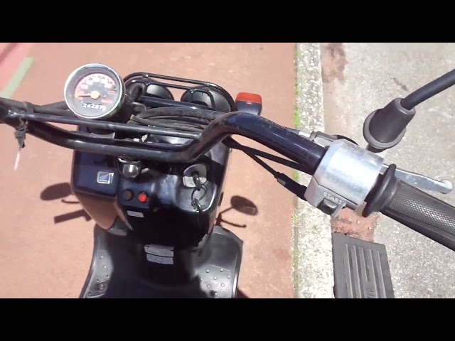 ジョルノクレア/ホンダ 水冷4サイクルエンジン ズーマー仕様カスタム
