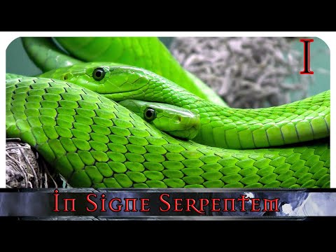 [1] [DSA] In Signe Serpentem - Oh grausame Wildermark!
