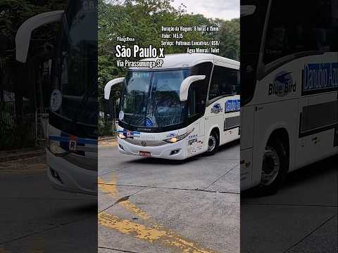 São Paulo x Cajuru Marcopolo New G7 1200 Scania K360IB #danubioazul #marcopolog7