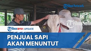 Sapi 'Bima' Batal Dibeli Jokowi, Penjual Ternak Kecewa Berat: Saya akan Menuntut, Ekornya Cacat!