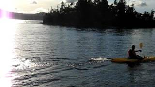 preview picture of video 'Trev Kayaking on Kaniere'