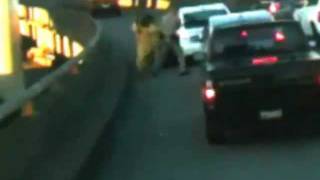 Or a wizard? Anyway, so that happened.