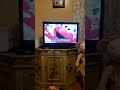 Closing To Sesame Street Do The Alphabet 1996 VHS
