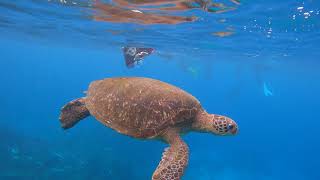 Download lagu 20201121小琉球D1 (快剪) mp3