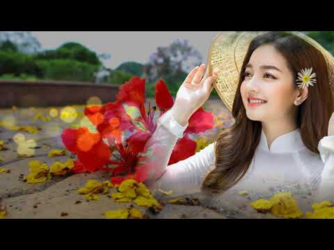 Yêu mùa phượng đỏ - Như Hương