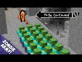 Real Momo vs 1000 Zombie Army in Minecraft ! To Be Continued By Pickle Craft