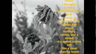 In Back of The Real - Allen Ginsberg