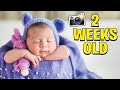 Baby Blu S First Ever Photoshoot 2 Weeks Old