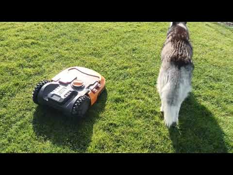 Worx landroid WR155E lift ricovery system fault 1:04