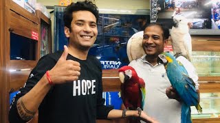 Macaw Parrot Price in India | Moluccan cockatoo price in India | Karnataka Aquarium |Macaw| Cockatoo