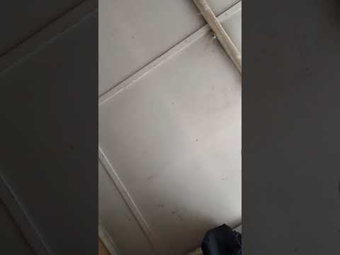 zamani NSU cypher(NSU)