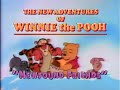 The New Adventures Of Winnie The Pooh Volume 3 Newfound Friends Intervals