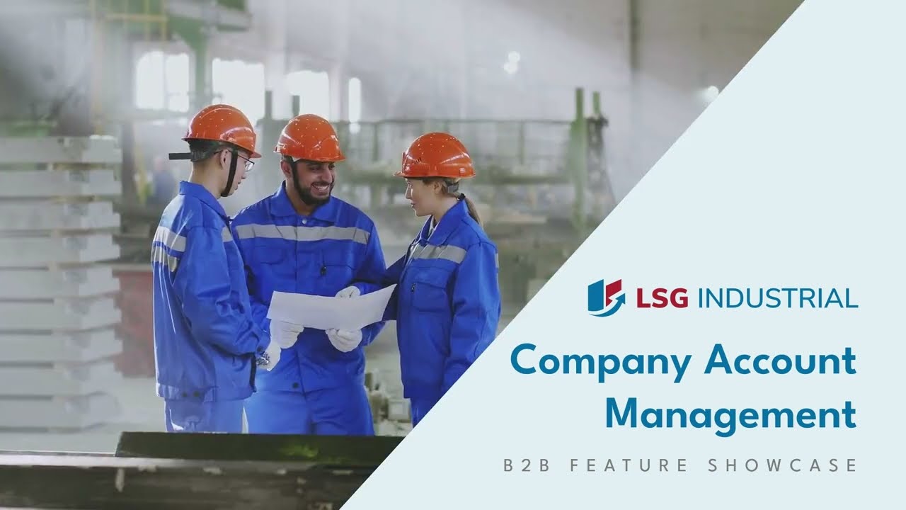 LSG Industrial -  Company Account Management