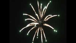 preview picture of video 'Pretty Firework Shell - Epic Fireworks'
