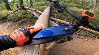 Arnold Rim Trail System: P8 Descent.