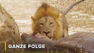 Von Dürre zu Regenflut: Überleben in Afrikas härtester Jahreszeit | Trockenzeit 103