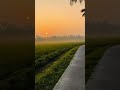 Thamil Thamil Ormakal Songs WhatsApp Status
