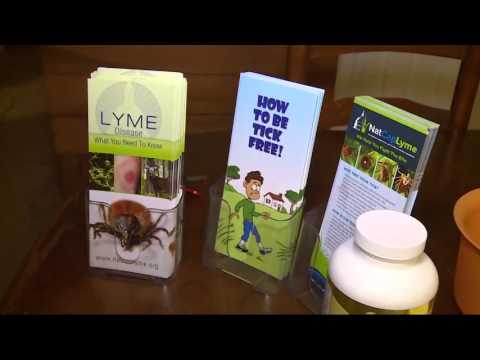 Lyme disease correlated with suicide